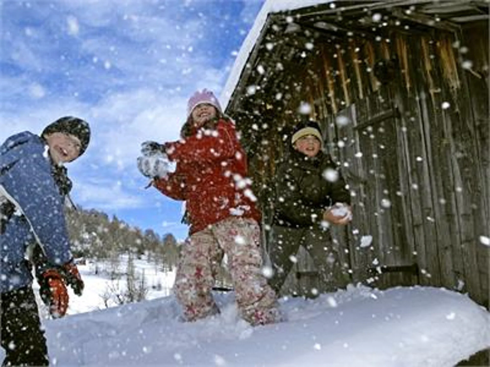 Agriturismo Wieserhof Sarentino 18 suedtirol.info