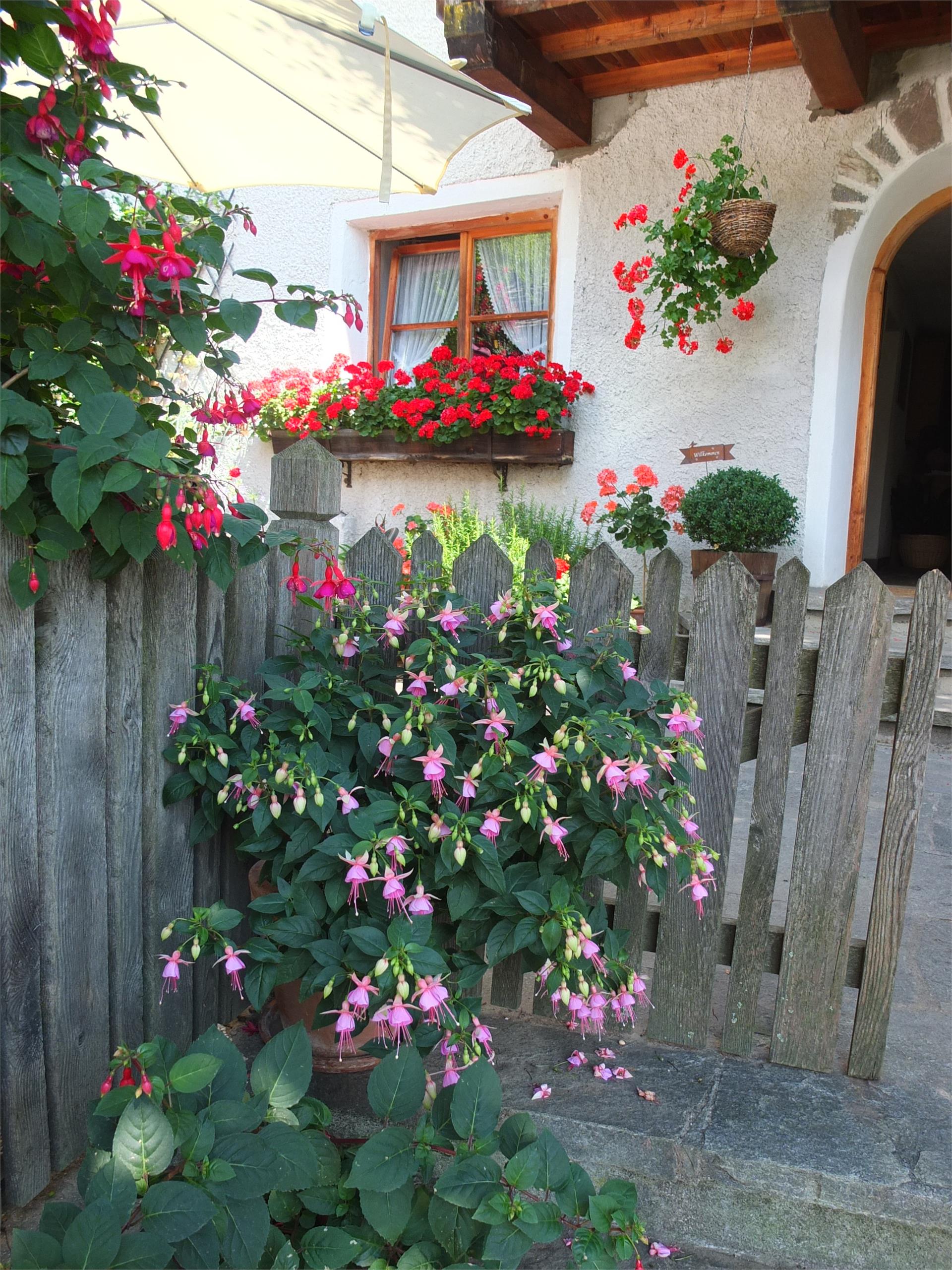 Urlaub auf dem Bauernhof Obergereuth Hof St.Martin in Passeier 3 suedtirol.info