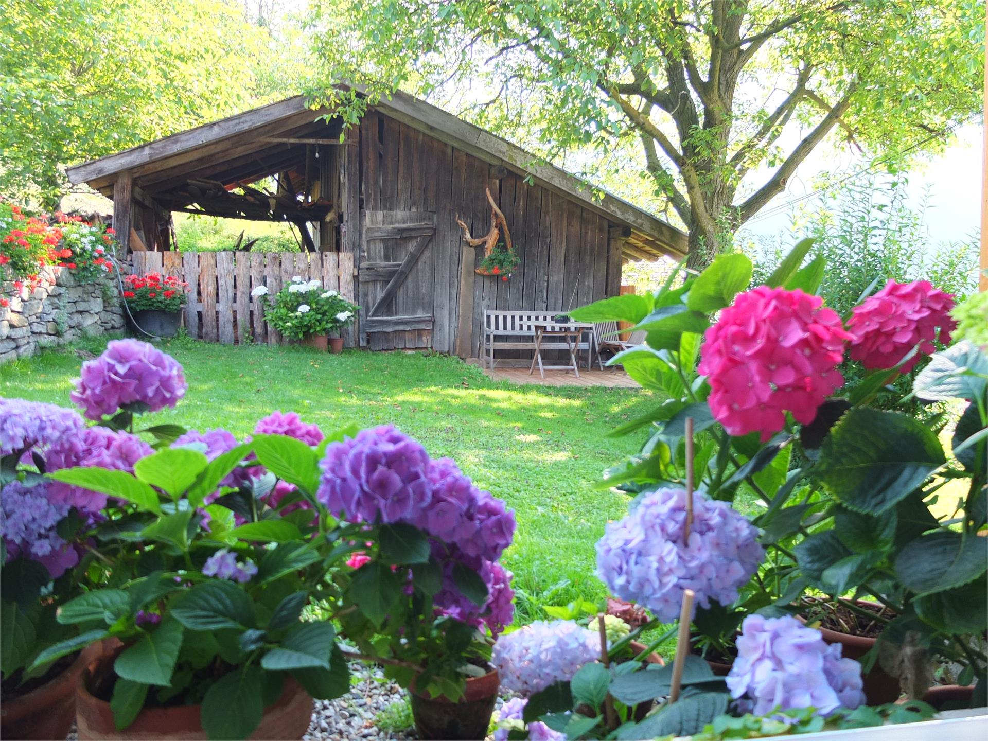 Urlaub auf dem Bauernhof Obergereuth Hof St.Martin in Passeier 2 suedtirol.info