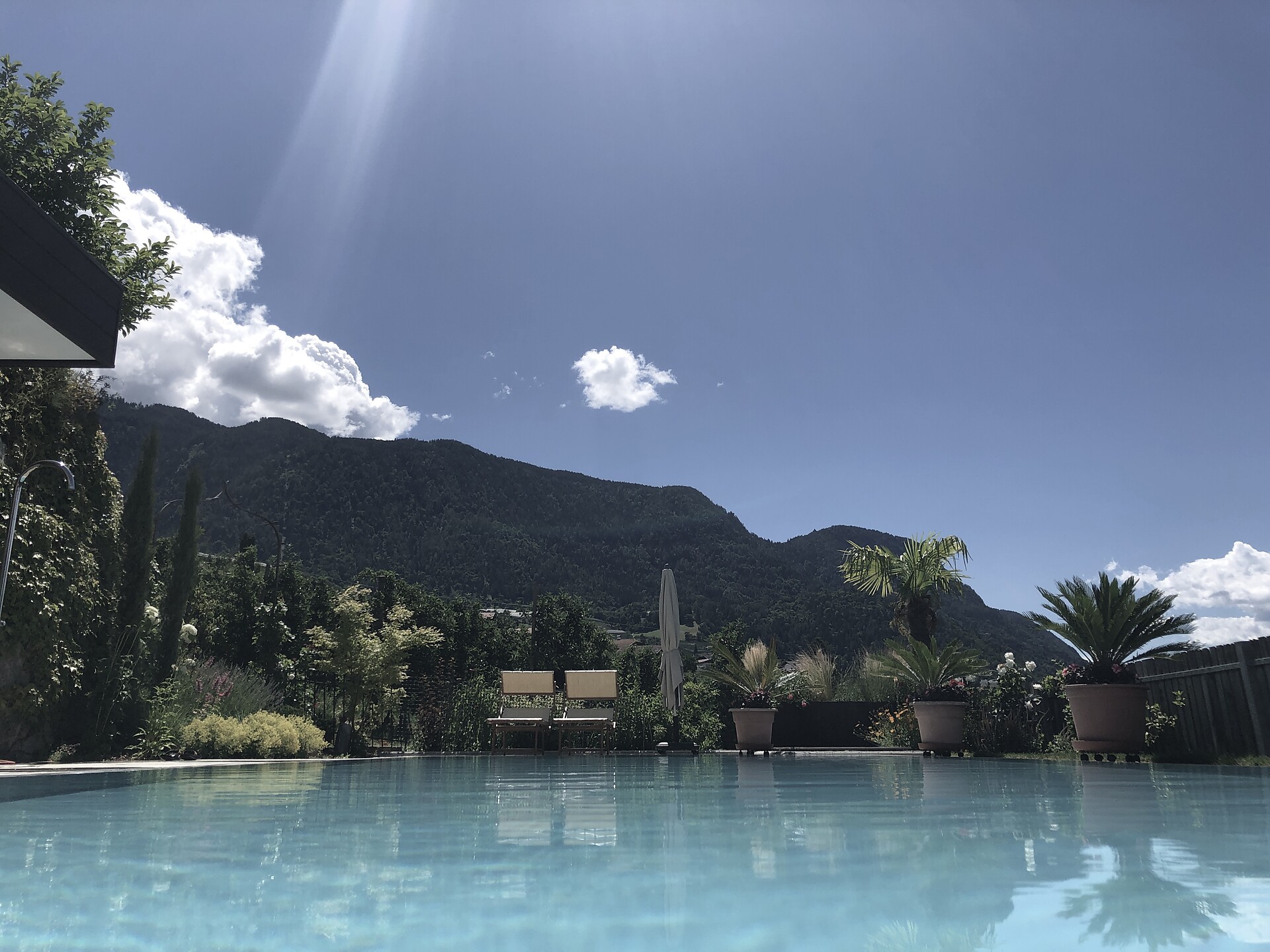 pool with a cozy lawn and comfortable lounge chairs