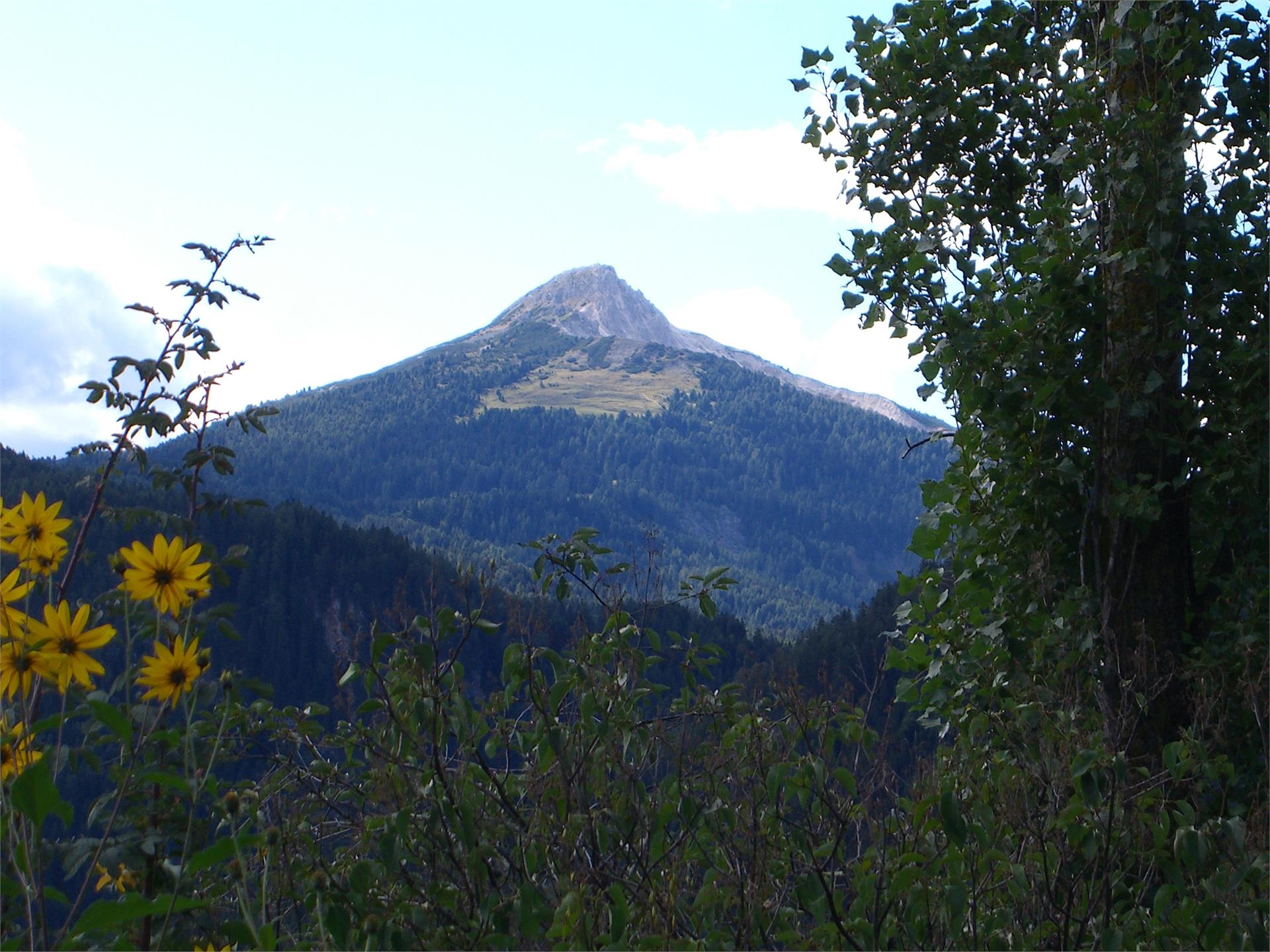 Agriturism Eggererhof Deutschnofen/Nova Ponente 10 suedtirol.info