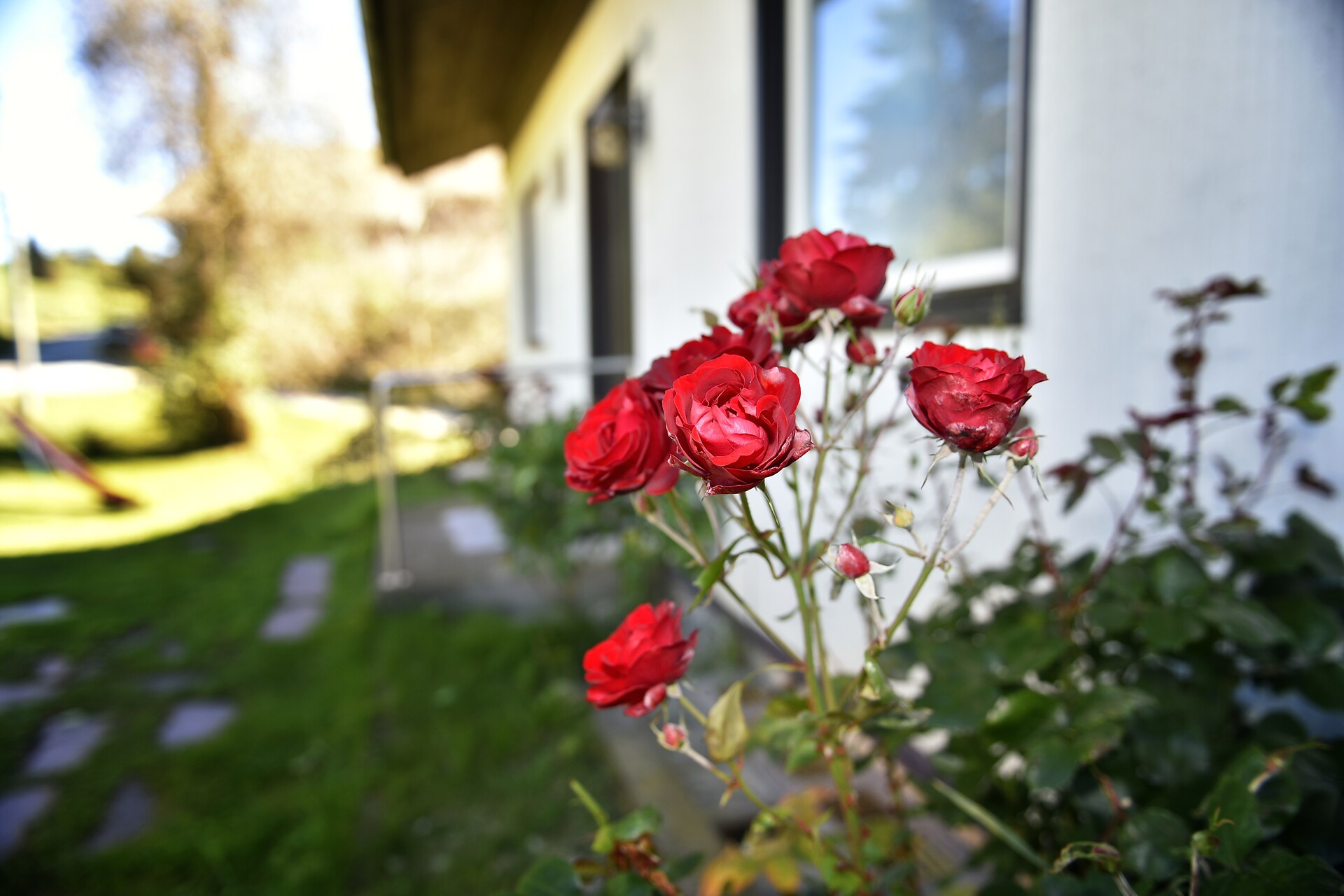 Agriturismo Hofer Hof