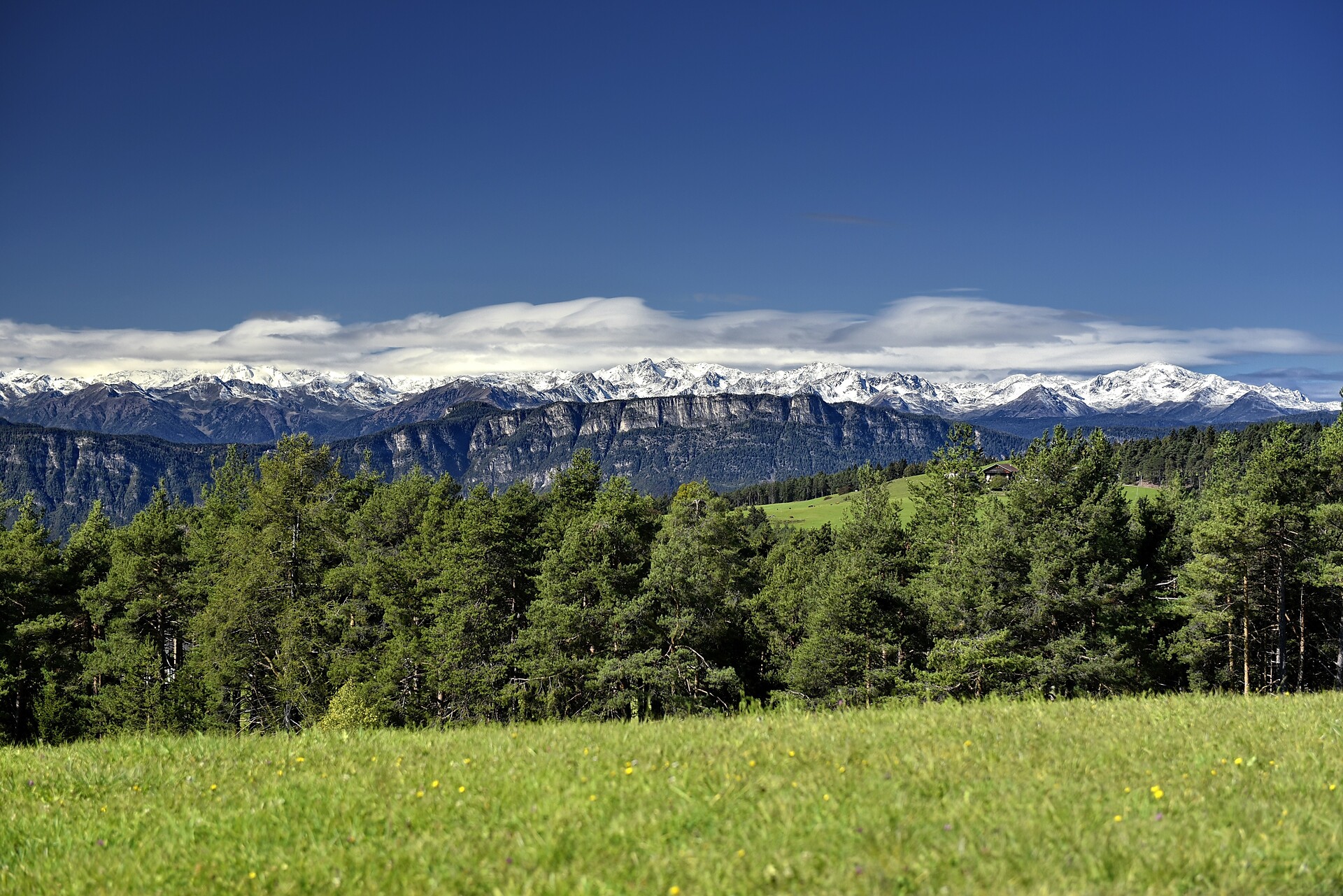 Vista panoramica