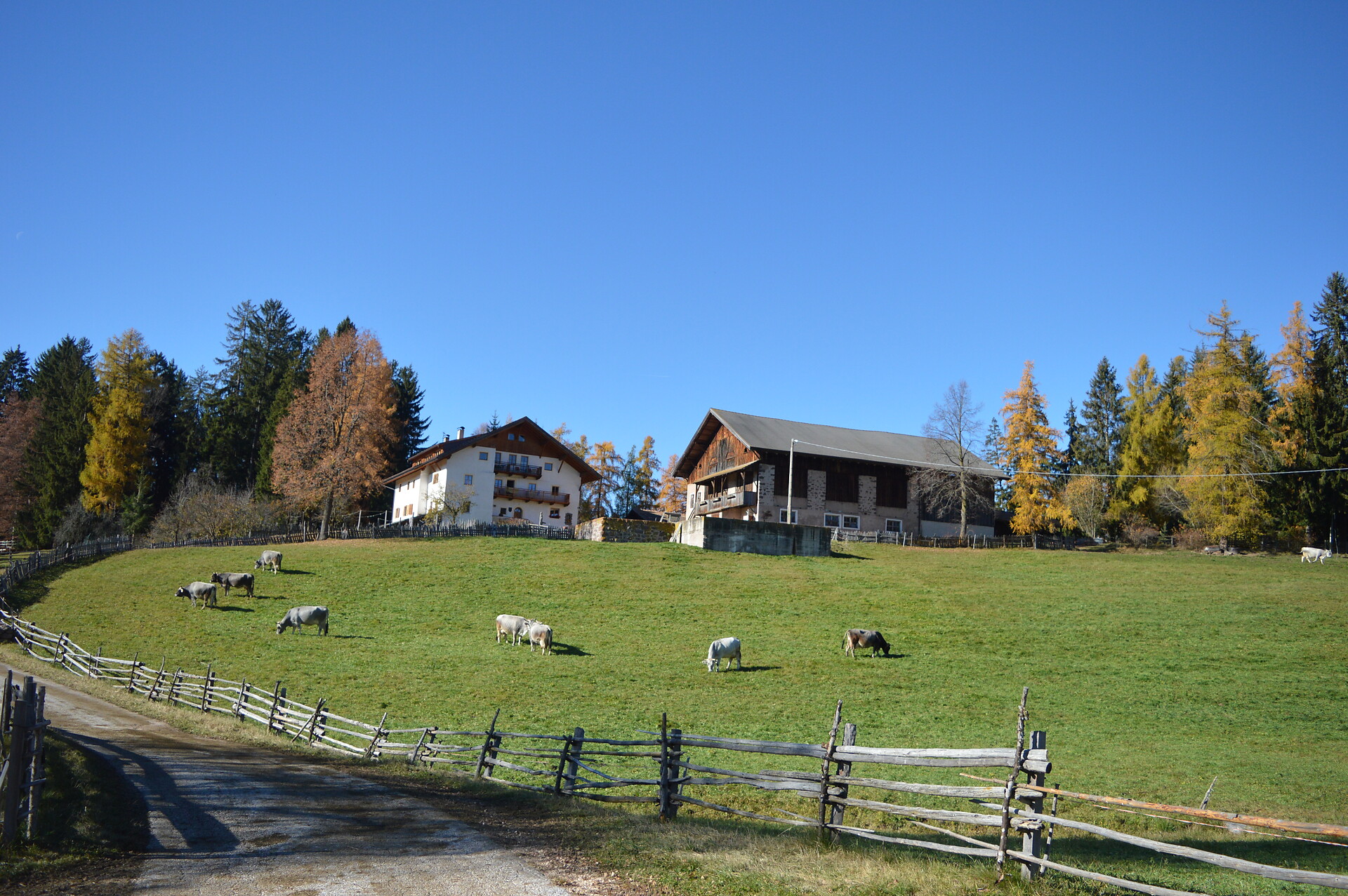 Bachnerhof im Sommer