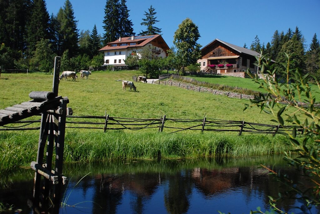Der Bachnerhof im Sommer