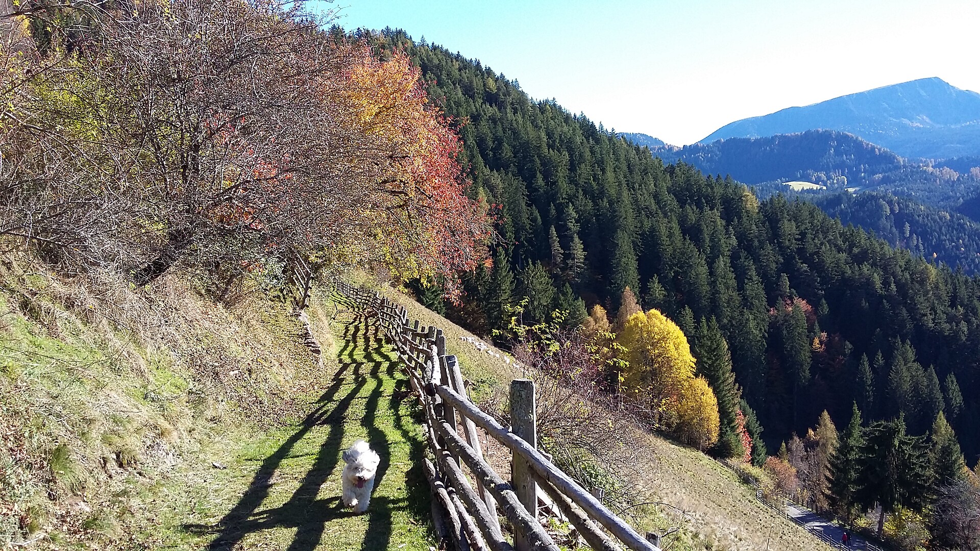 Panoramic view