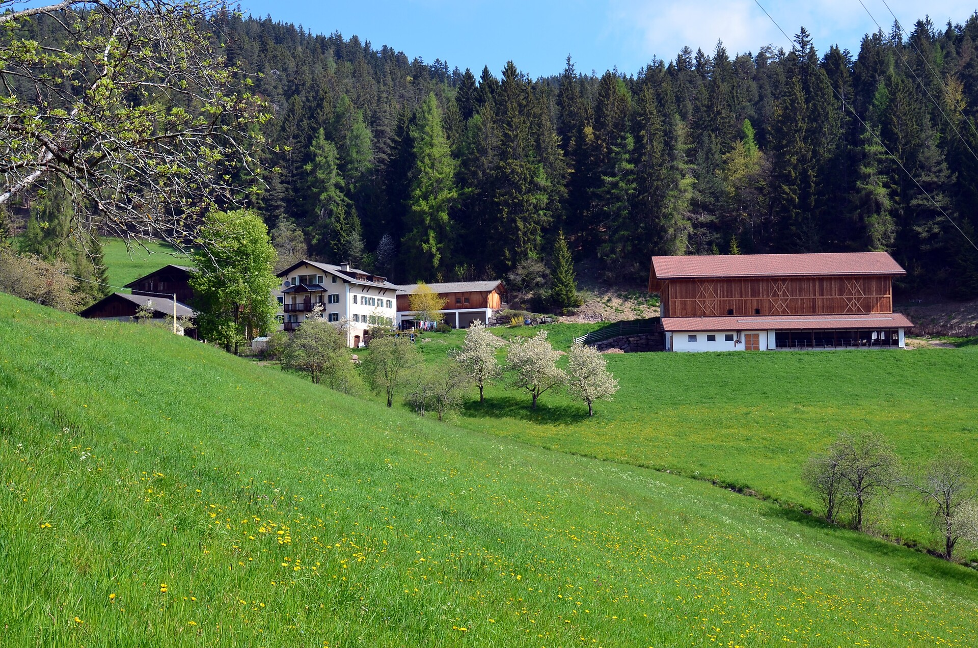 U.a.B. Köhlhof Deutschnofen 2 suedtirol.info