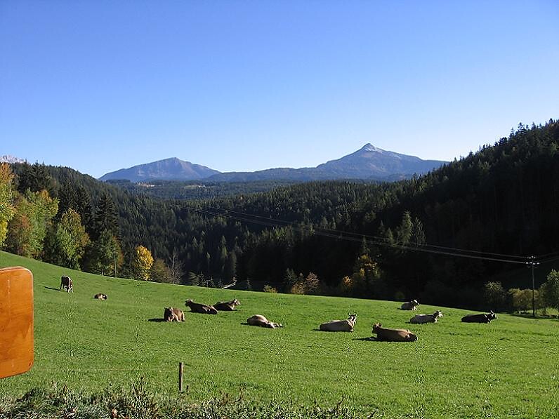 U.a.B. Köhlhof Deutschnofen 6 suedtirol.info