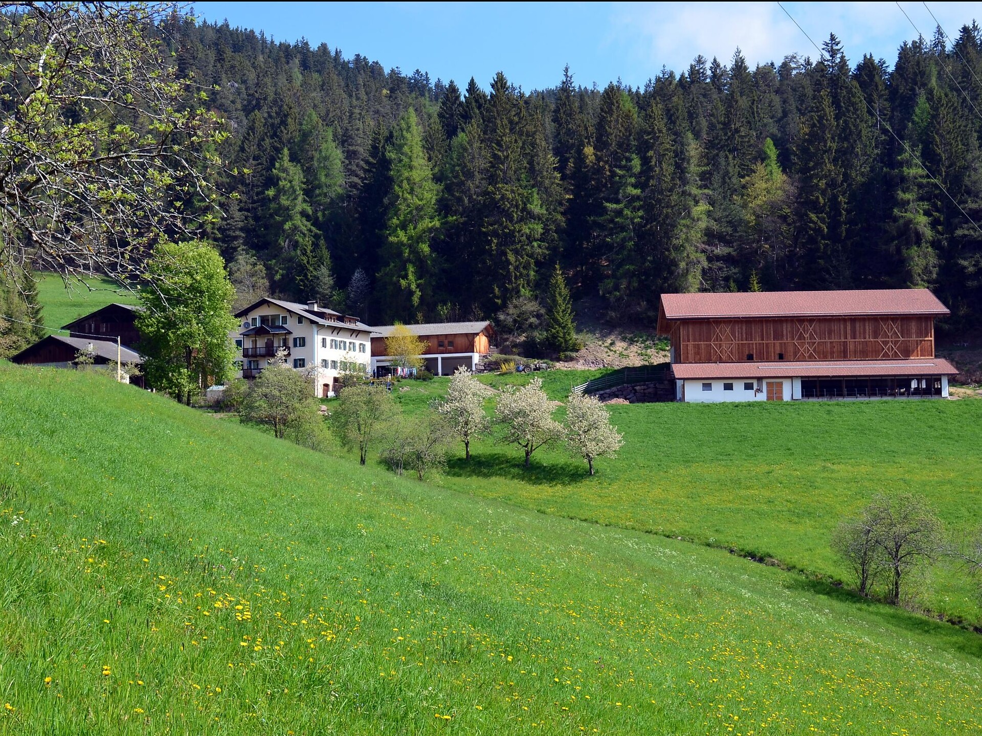 U.a.B. Köhlhof Deutschnofen 1 suedtirol.info