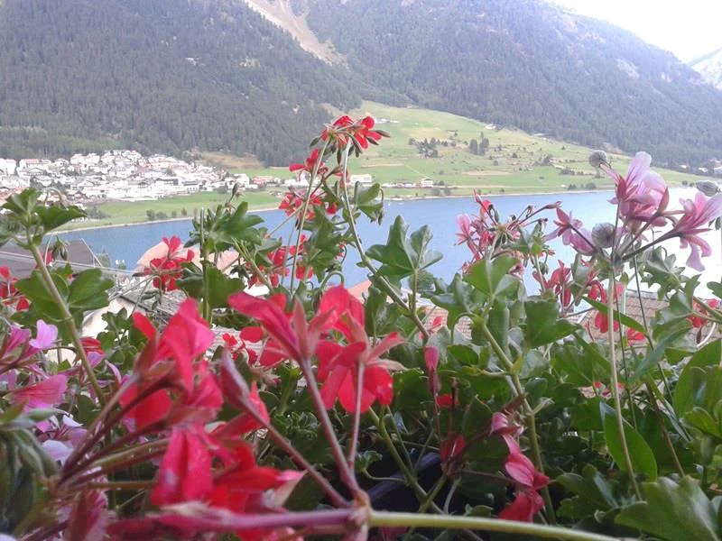 Agritourism Pichlhof Graun im Vinschgau/Curon Venosta 7 suedtirol.info