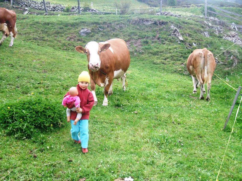 Agritourism Pichlhof Graun im Vinschgau/Curon Venosta 2 suedtirol.info