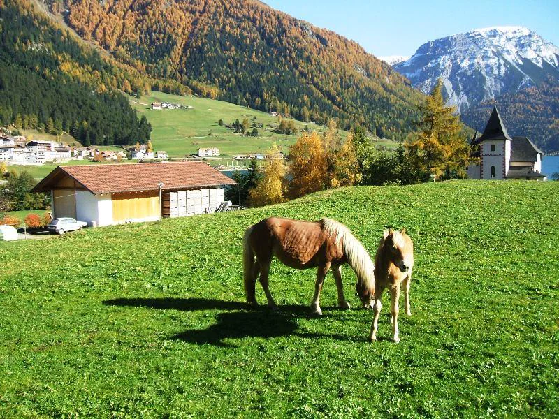 Agritourism Pichlhof Graun im Vinschgau/Curon Venosta 8 suedtirol.info