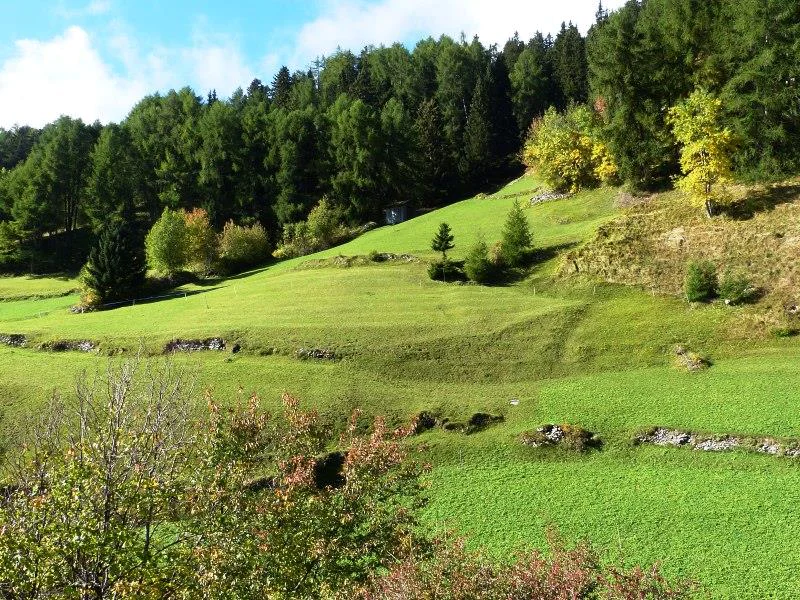 Agritourism Pichlhof Graun im Vinschgau/Curon Venosta 18 suedtirol.info