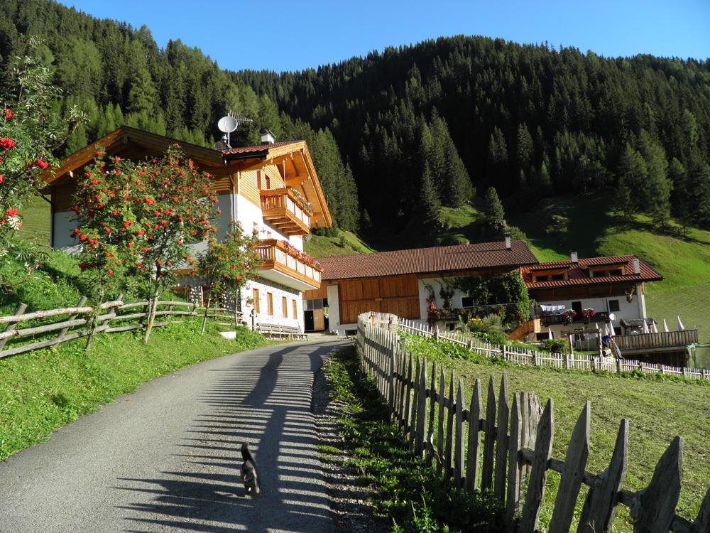 Ungererhof Racines 3 suedtirol.info