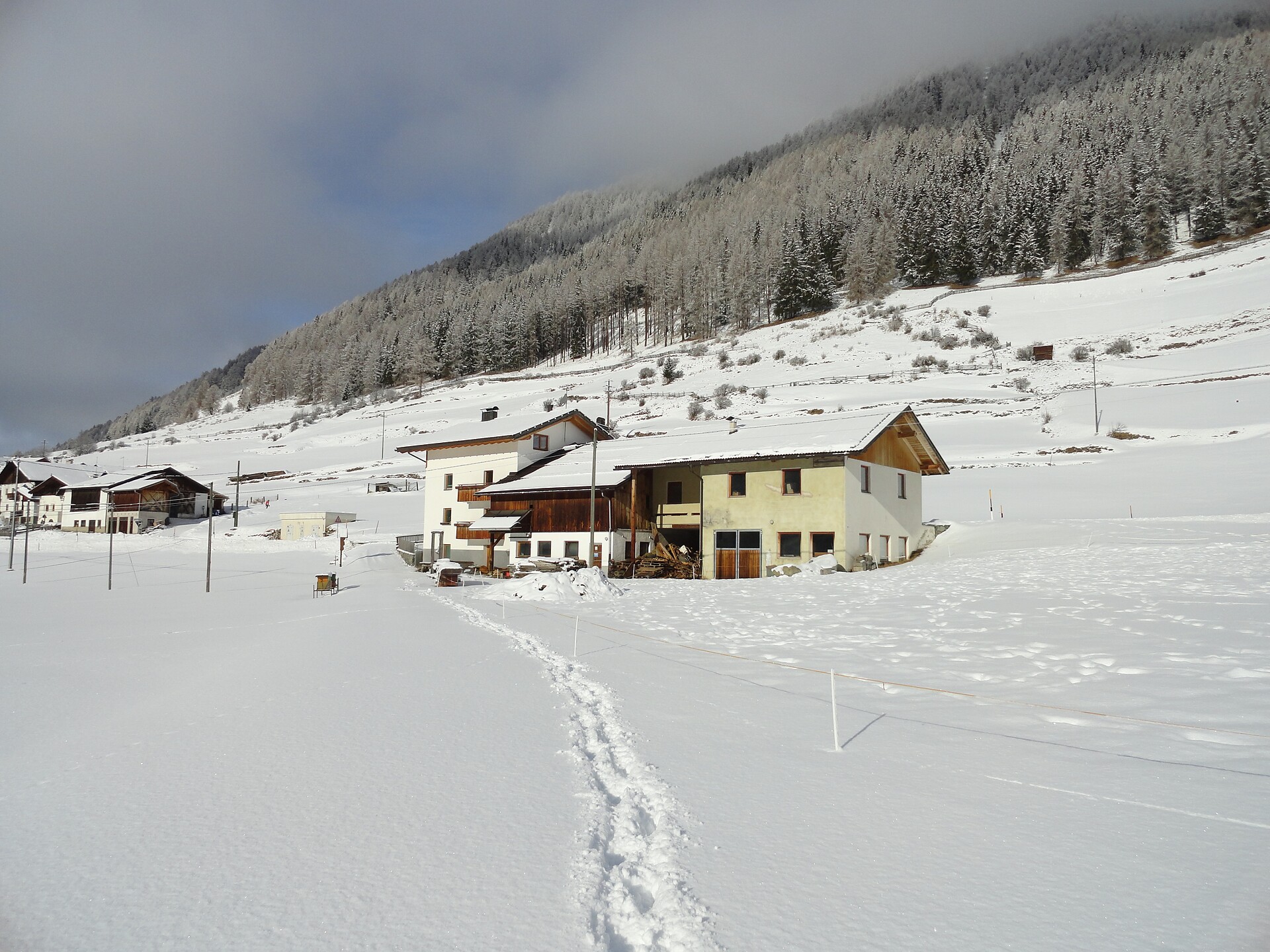 farm in winter