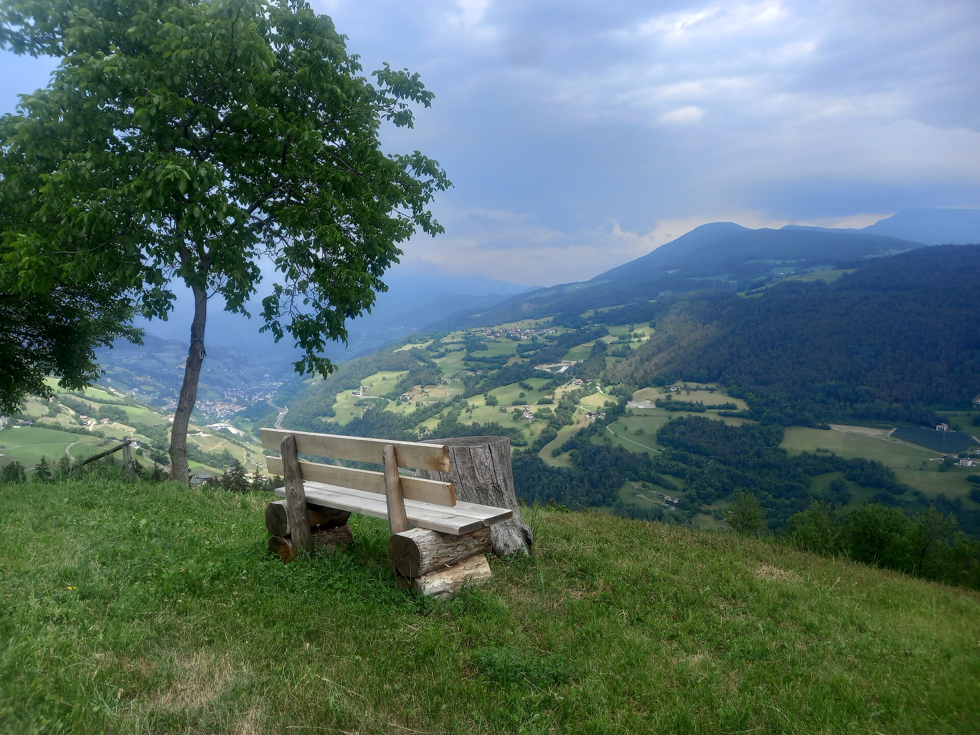 View