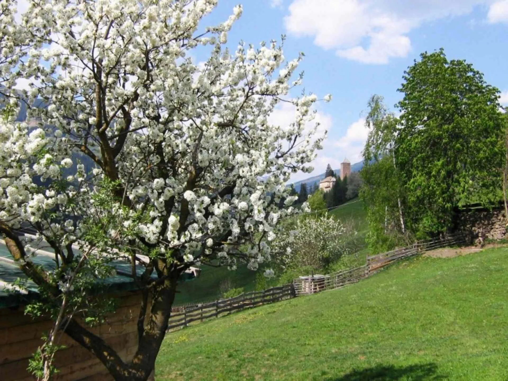 Agriturismo Botenhof Sarentino 4 suedtirol.info