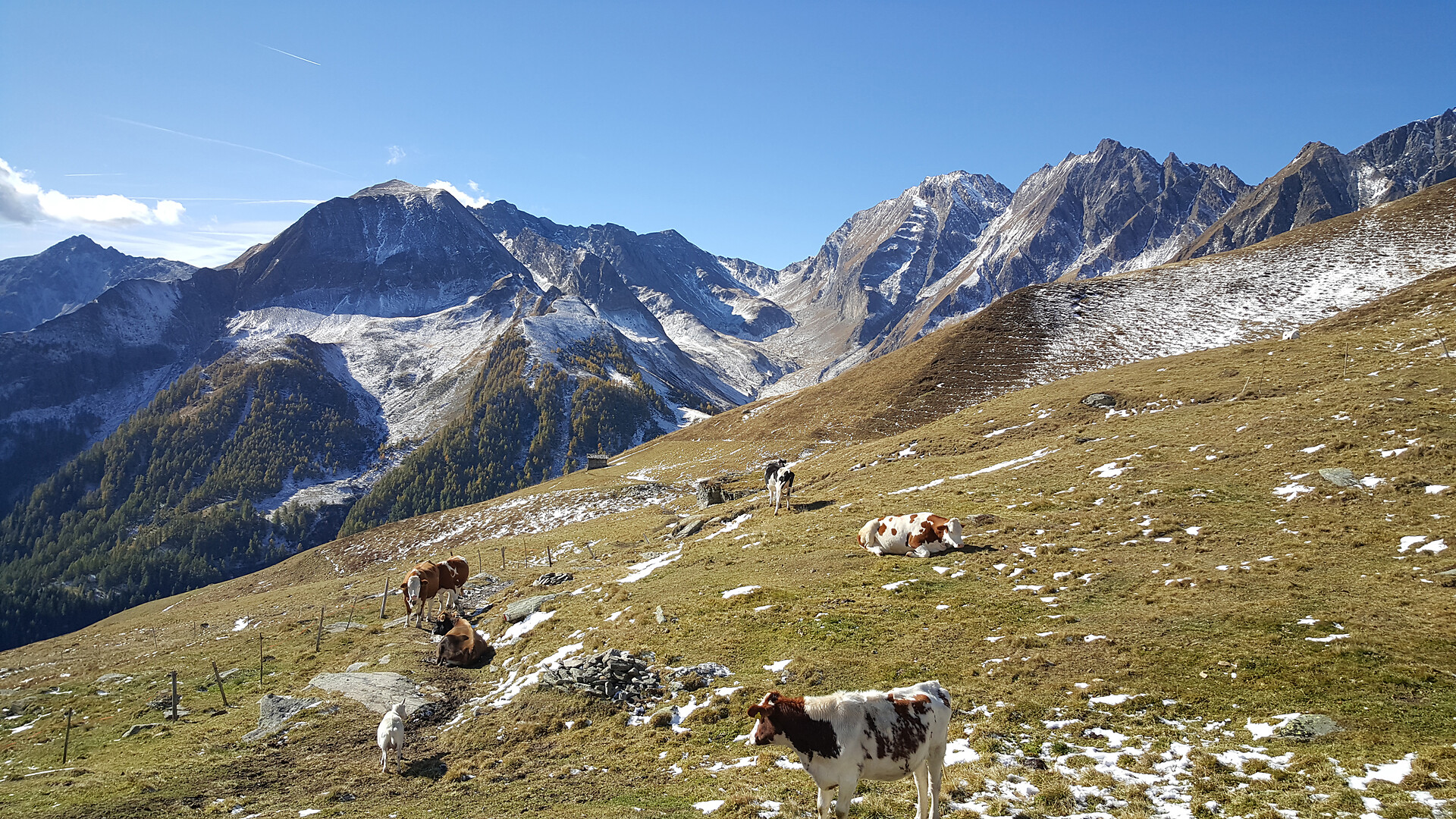 la nostra malga