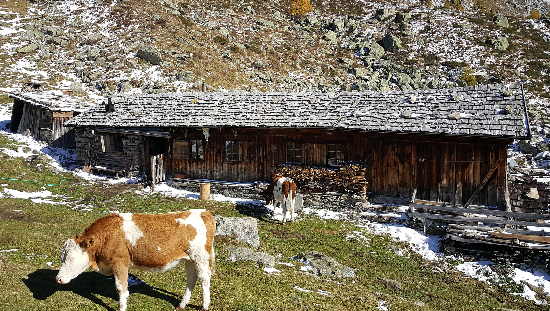 la nostra malga