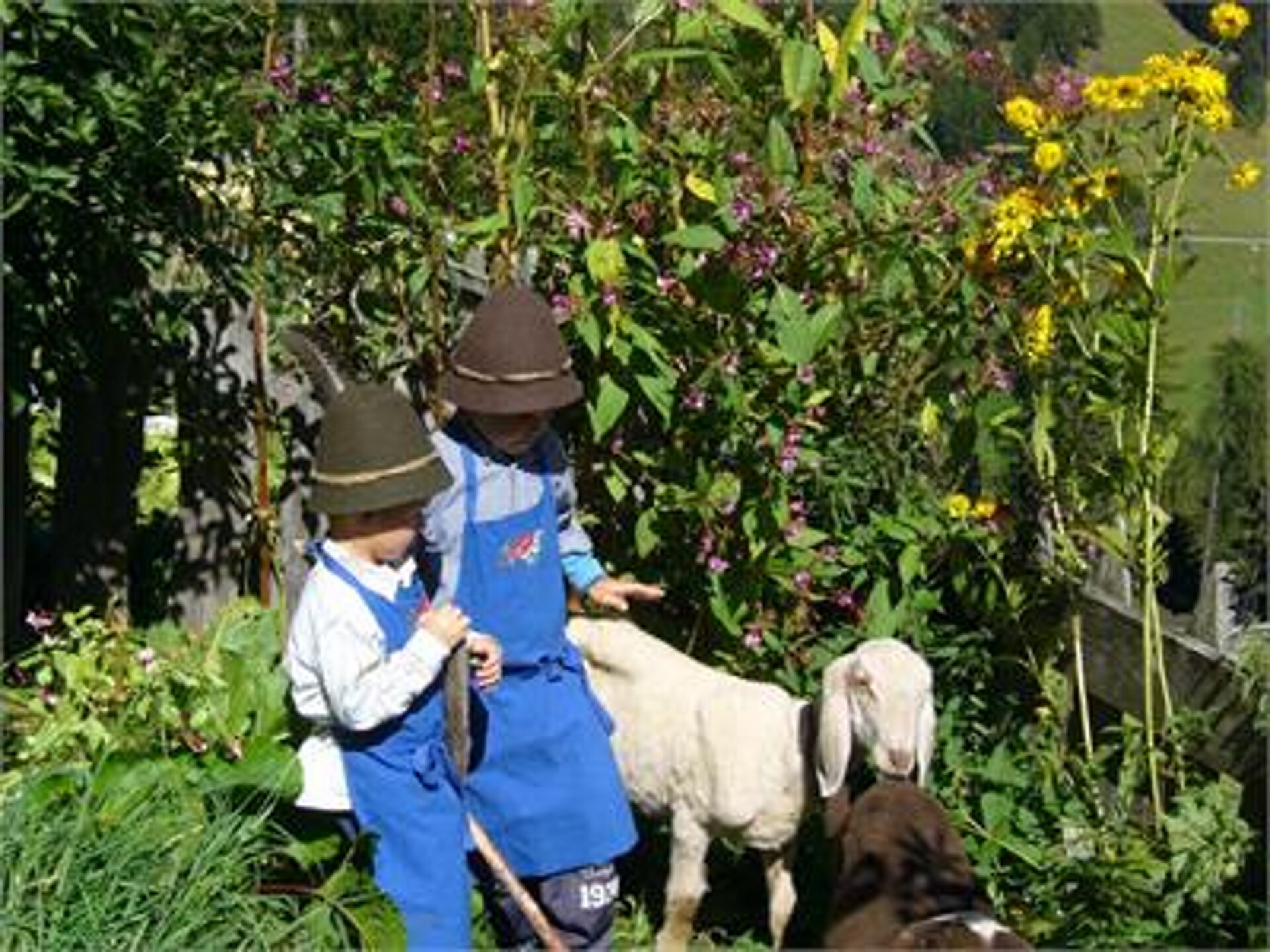 Urlaub auf dem Bauernhof Haflingerhof Tschatter und Kohl Sarntal 19 suedtirol.info