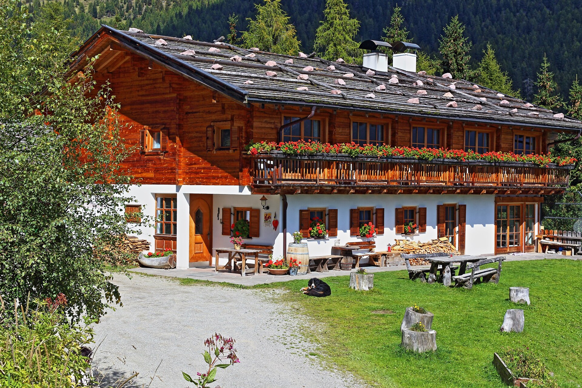 Urlaub auf dem Bauernhof Haflingerhof Tschatter und Kohl Sarntal 1 suedtirol.info