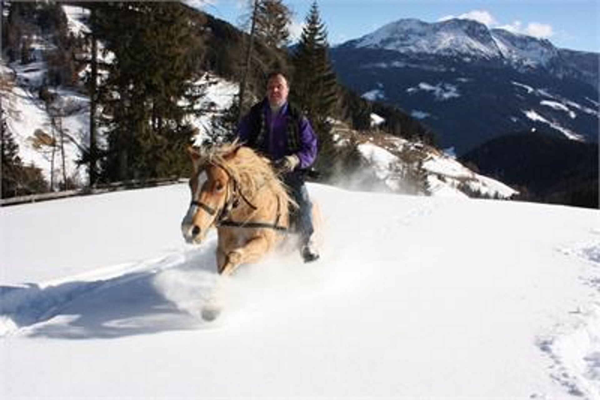 Urlaub auf dem Bauernhof Haflingerhof Tschatter und Kohl Sarntal 8 suedtirol.info
