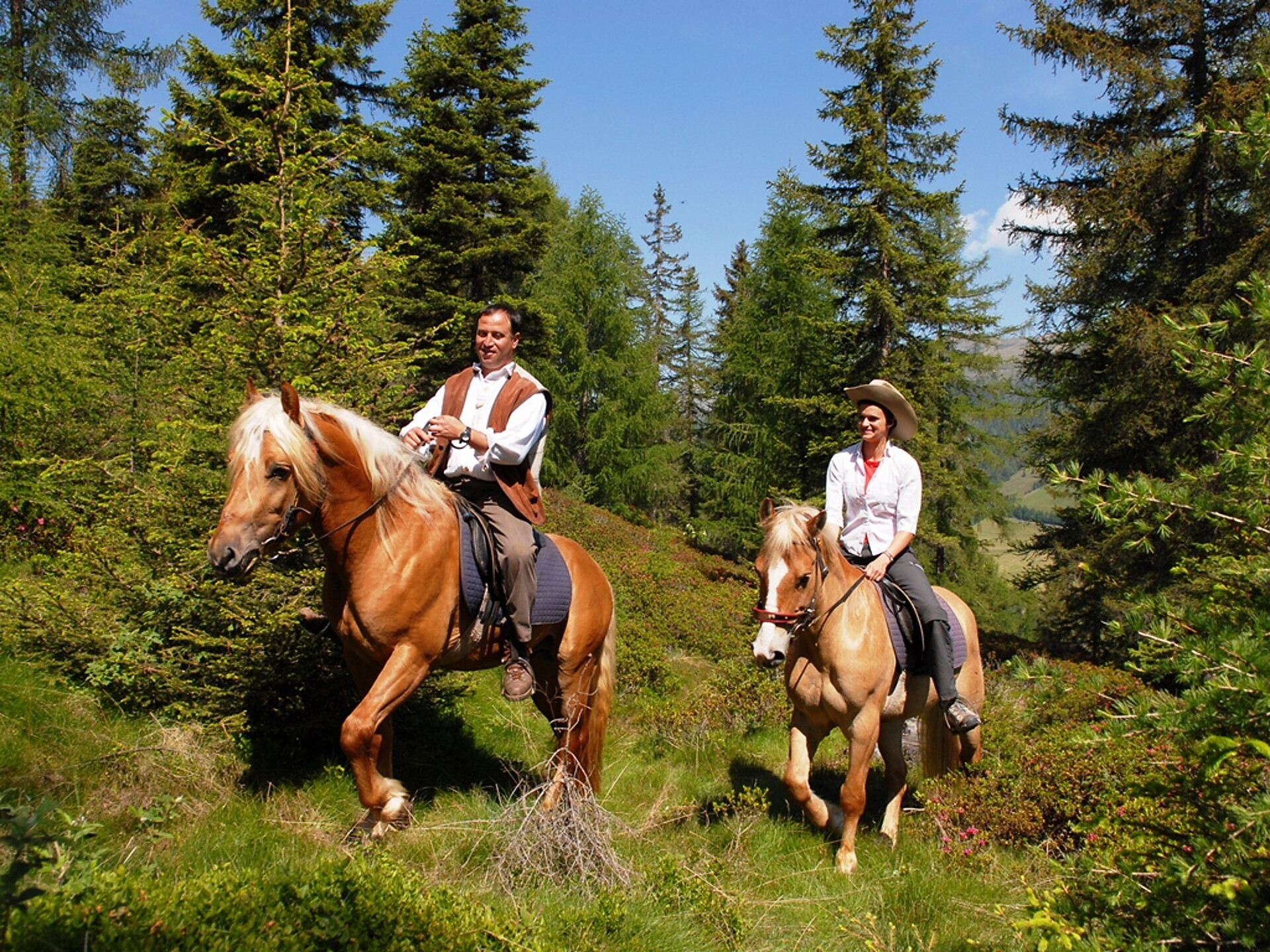 Urlaub auf dem Bauernhof Haflingerhof Tschatter und Kohl Sarntal 2 suedtirol.info