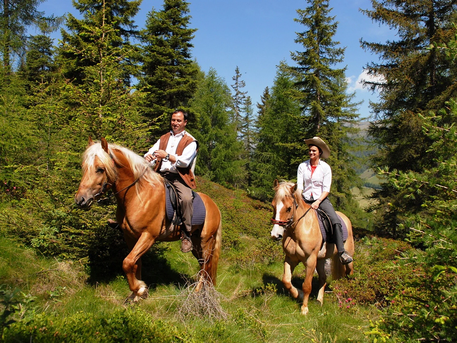 Farm Holiday Haflingerhof Tschatter und Kohl Sarntal/Sarentino 2 suedtirol.info