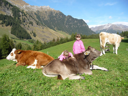 Holiday on a farm Hütterwirtshof Moos in Passeier/Moso in Passiria 20 suedtirol.info
