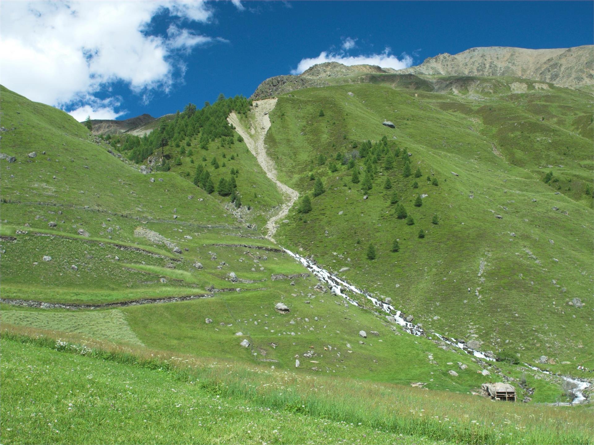 Agritourism Staslhof Graun im Vinschgau/Curon Venosta 1 suedtirol.info