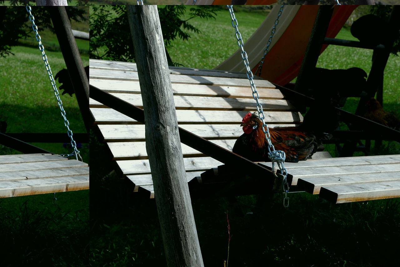 Slide 15