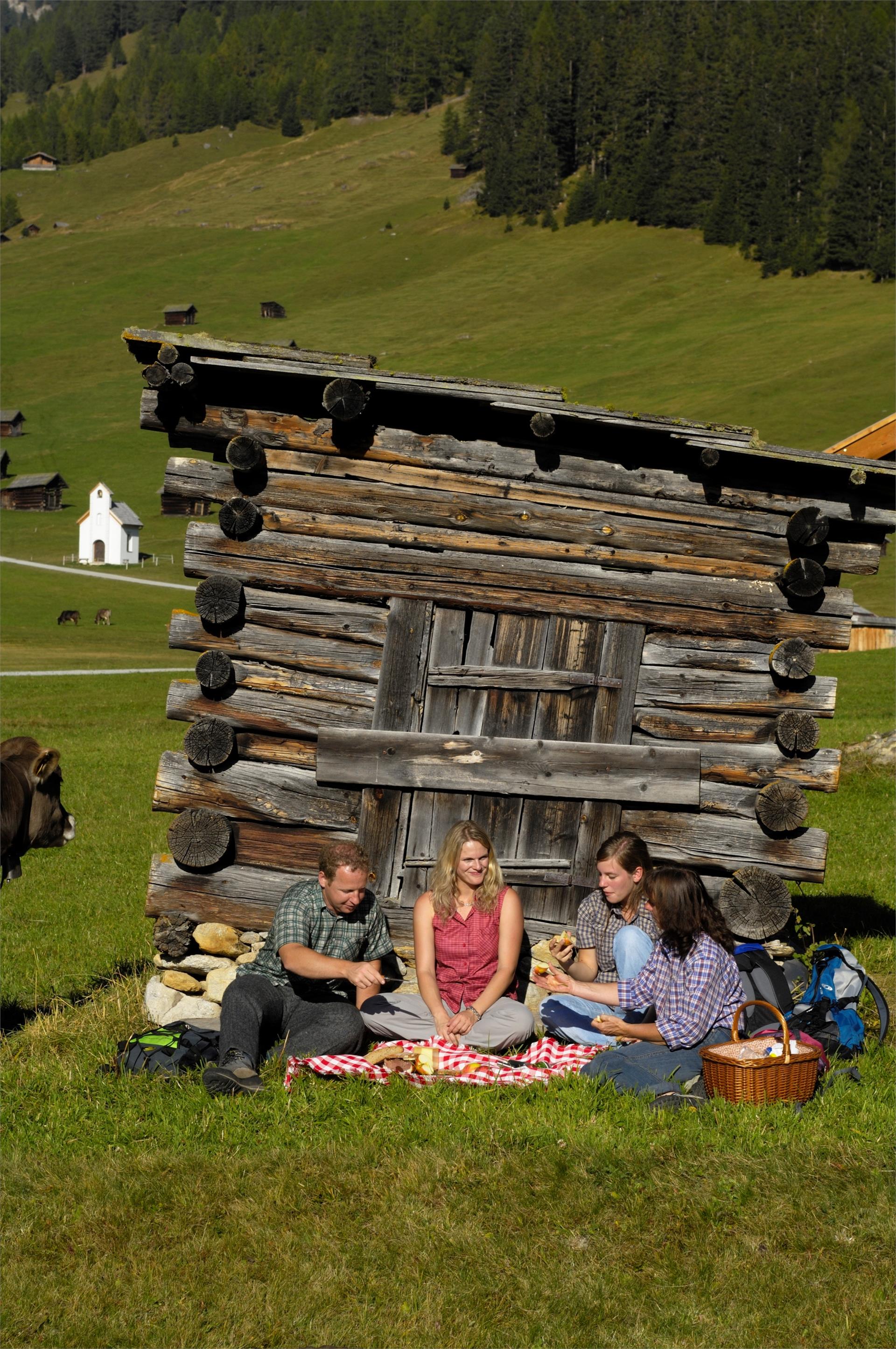 Agritourism Naglerhof Graun im Vinschgau/Curon Venosta 11 suedtirol.info
