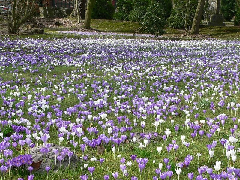 signs of spring