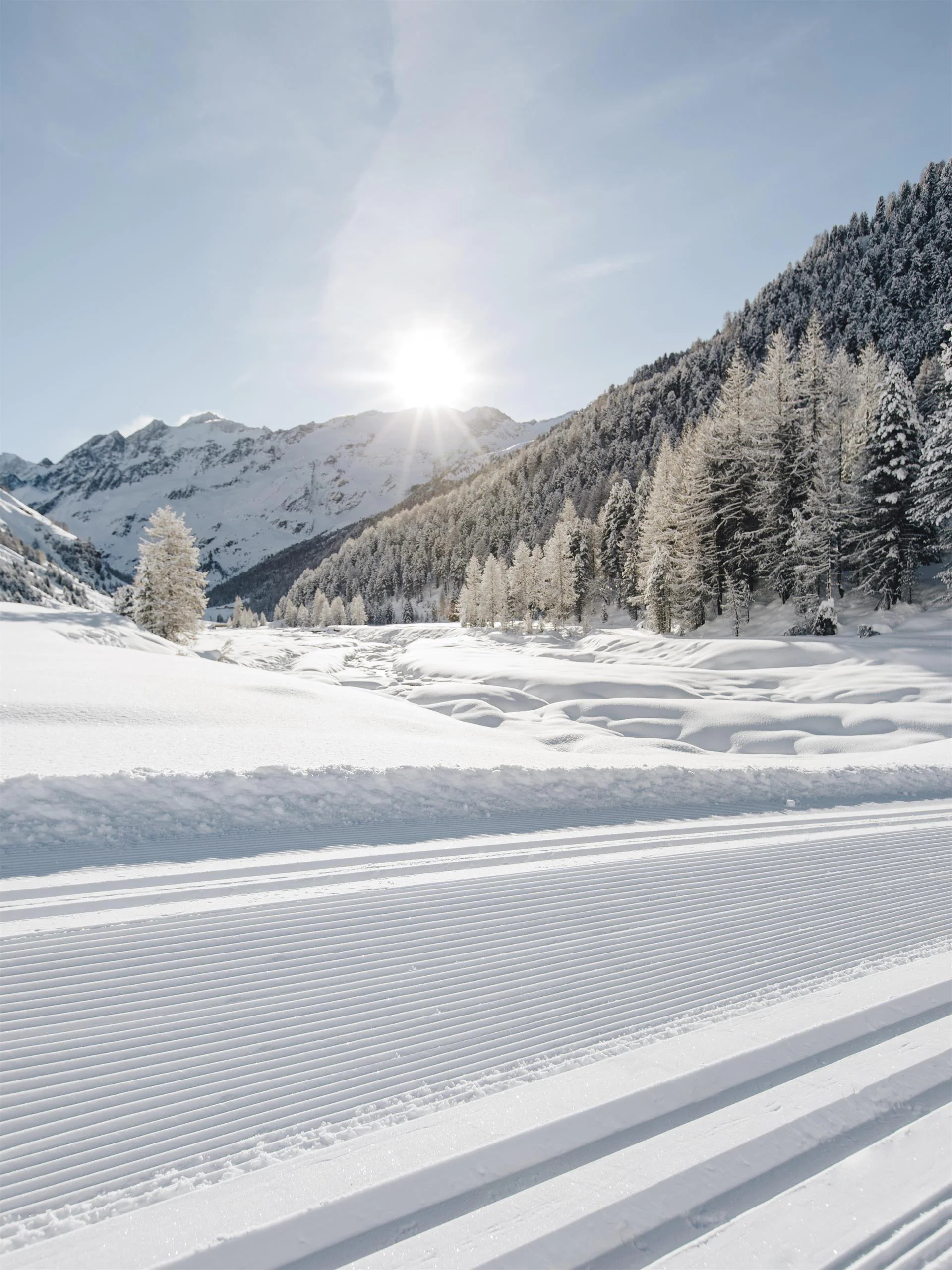 Agriturismo Pleifhof Curon Venosta 1 suedtirol.info