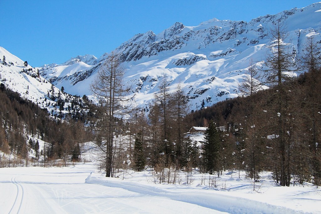 pista da fondo malga melago