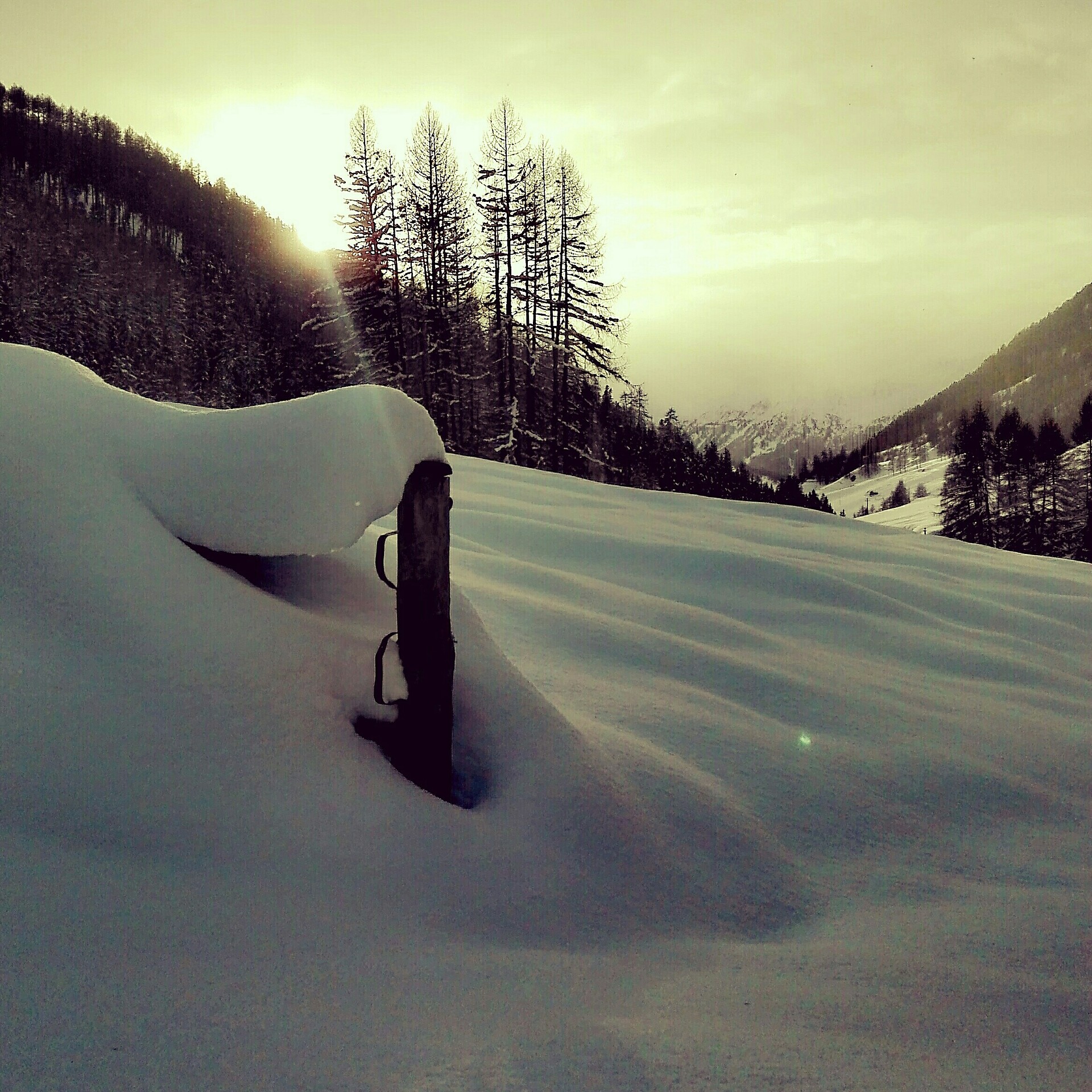UAB Flickerhof Graun im Vinschgau 7 suedtirol.info