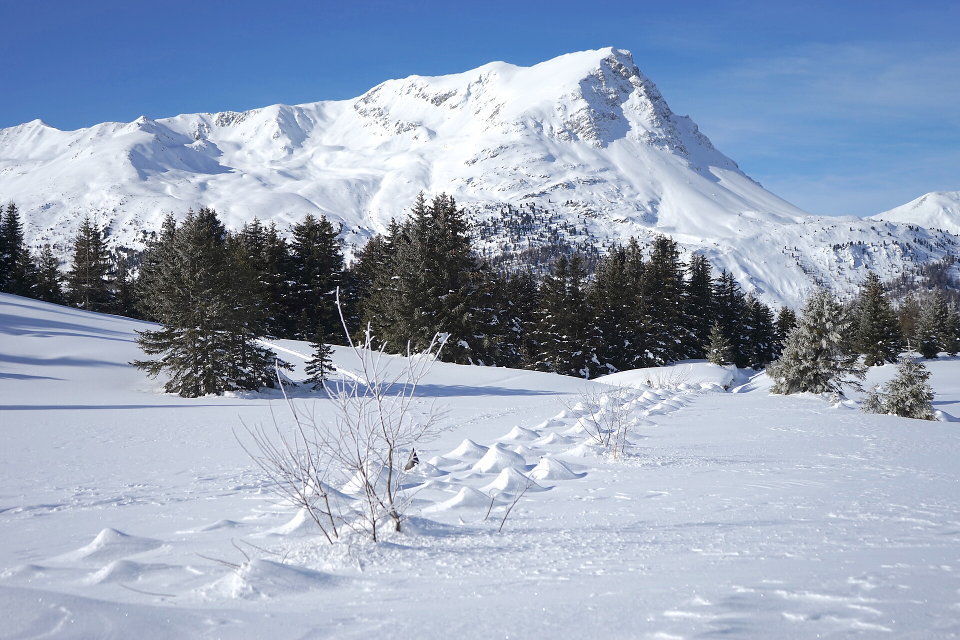 UAB Flickerhof Graun im Vinschgau 5 suedtirol.info