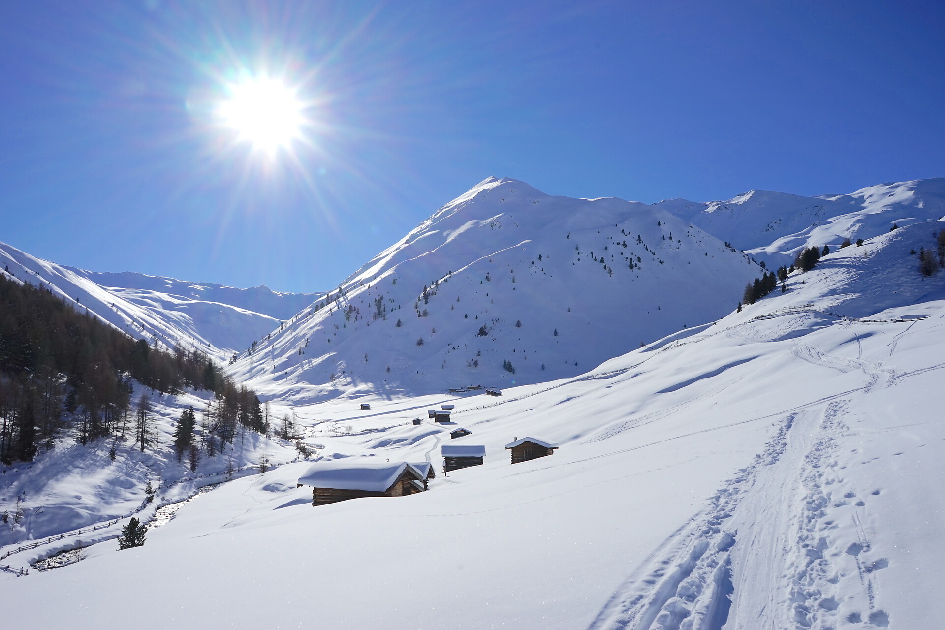 UAB Flickerhof Graun im Vinschgau 2 suedtirol.info