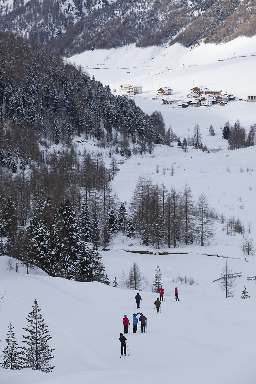 Winterwandern
