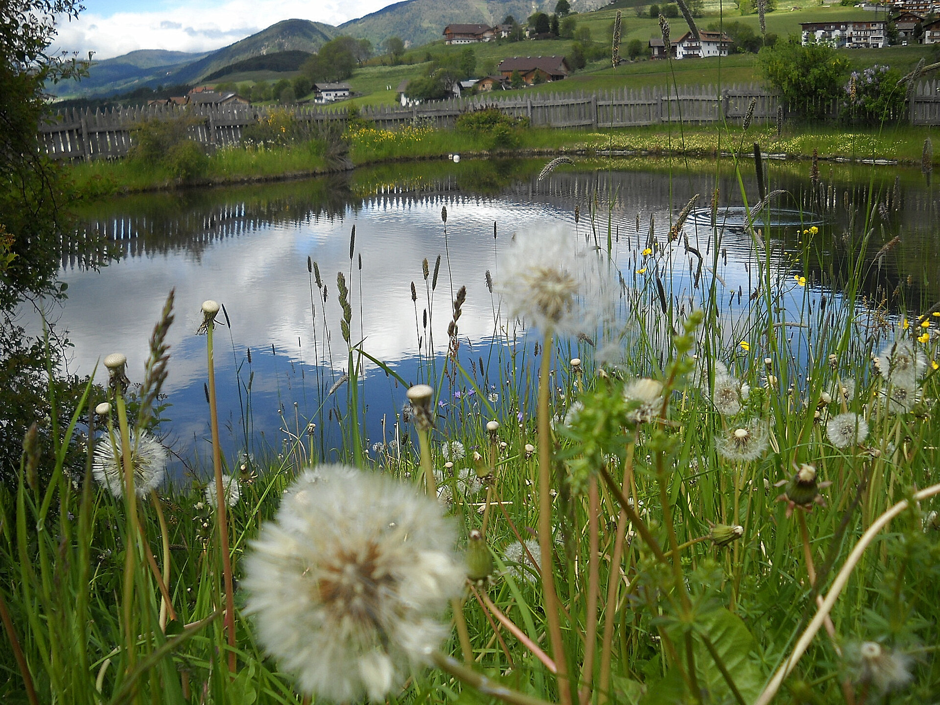 laghetto naturale