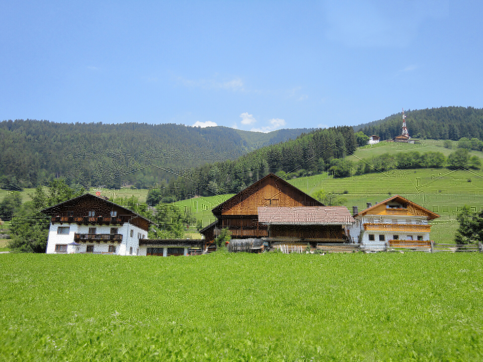 UaB Unterleitnerhof Terenten 1 suedtirol.info