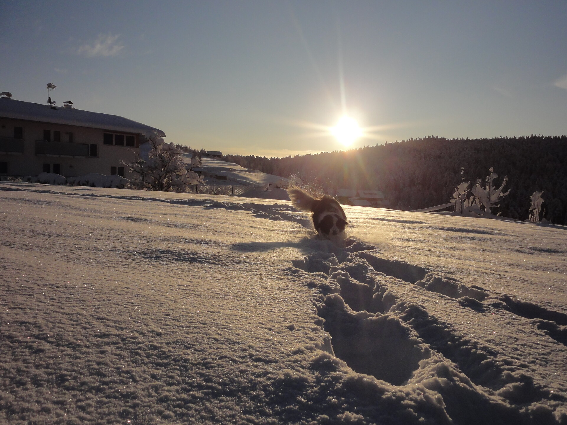 Winterbild