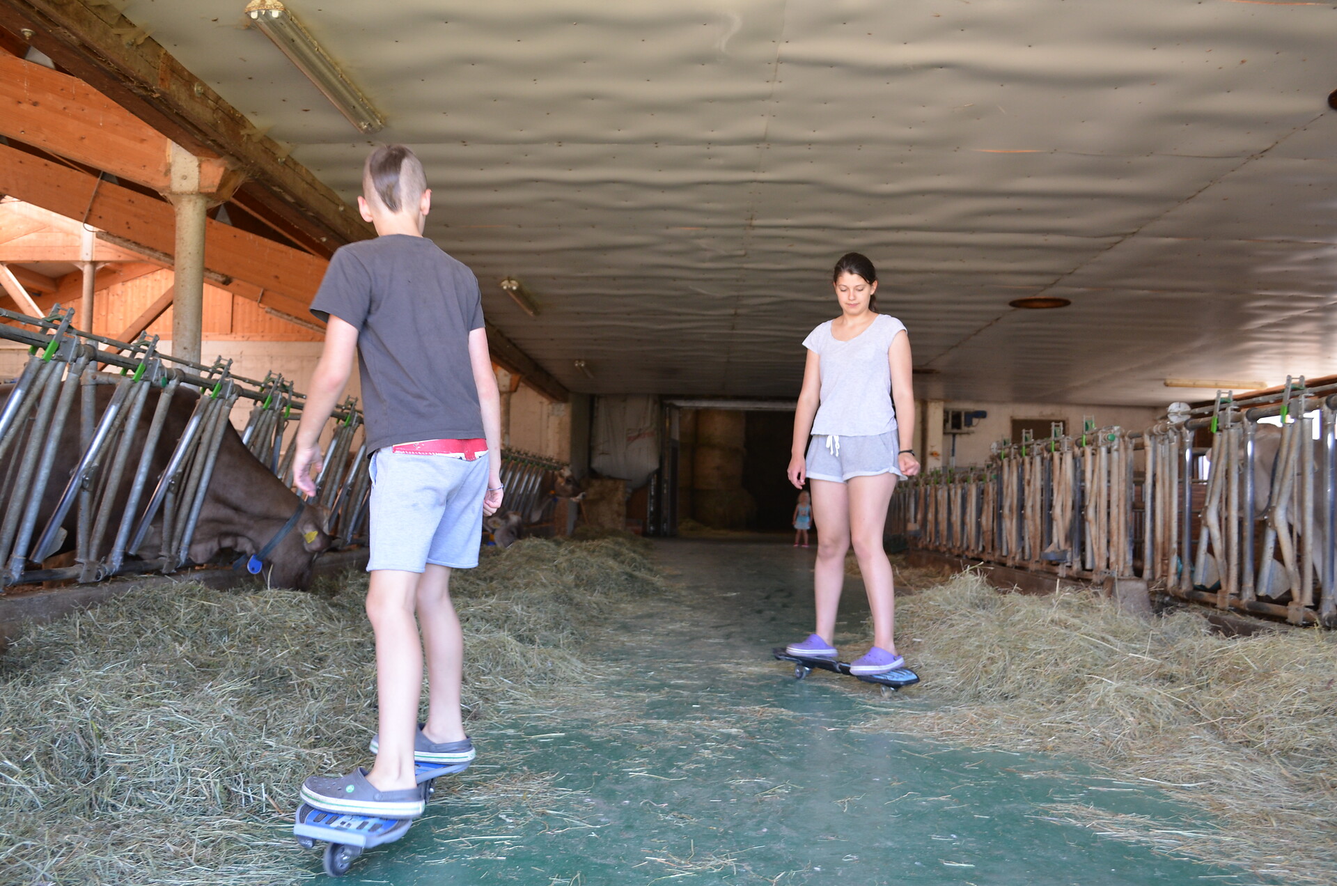 Skating i