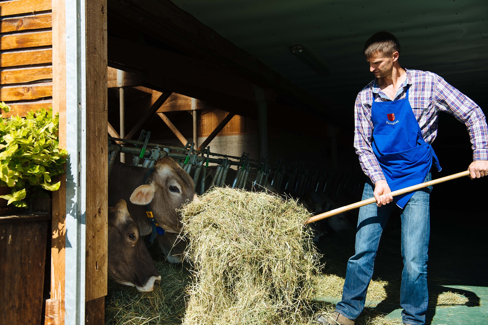 farmer Meinhard