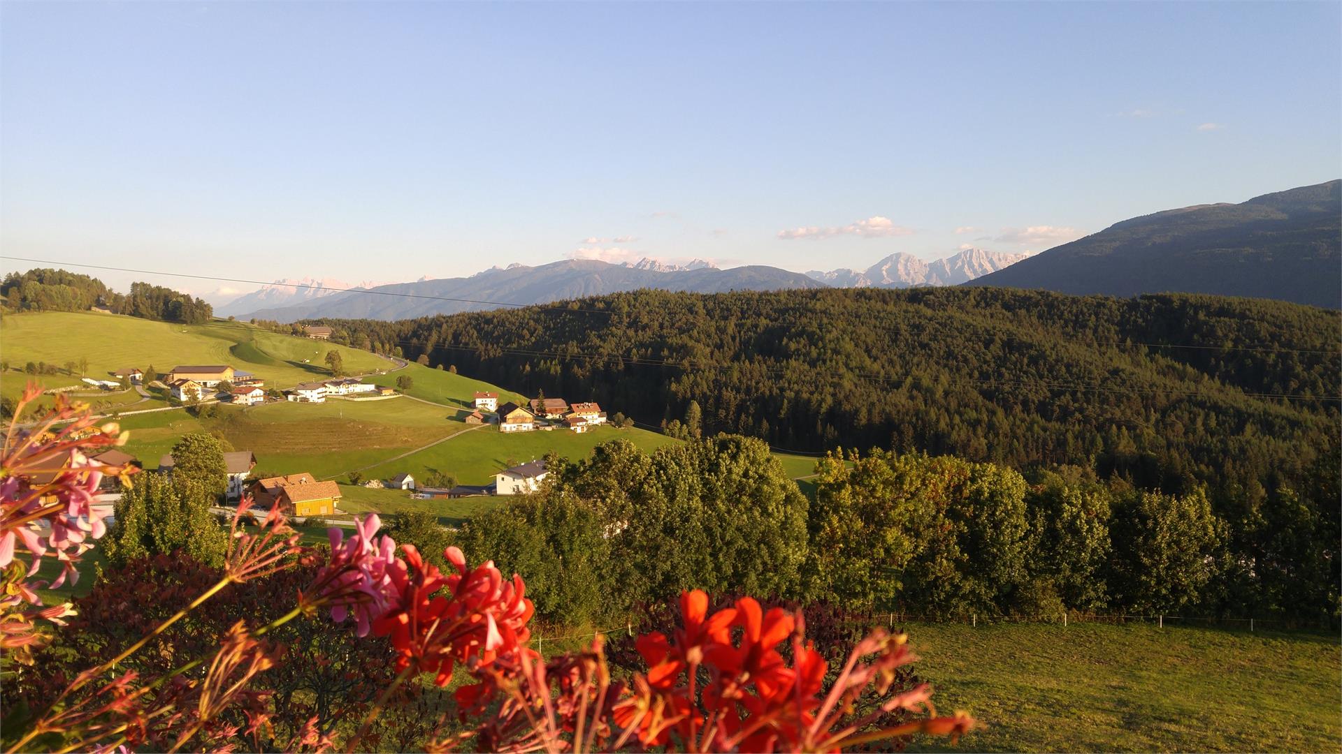 UaB Latschenhof Terenten 8 suedtirol.info