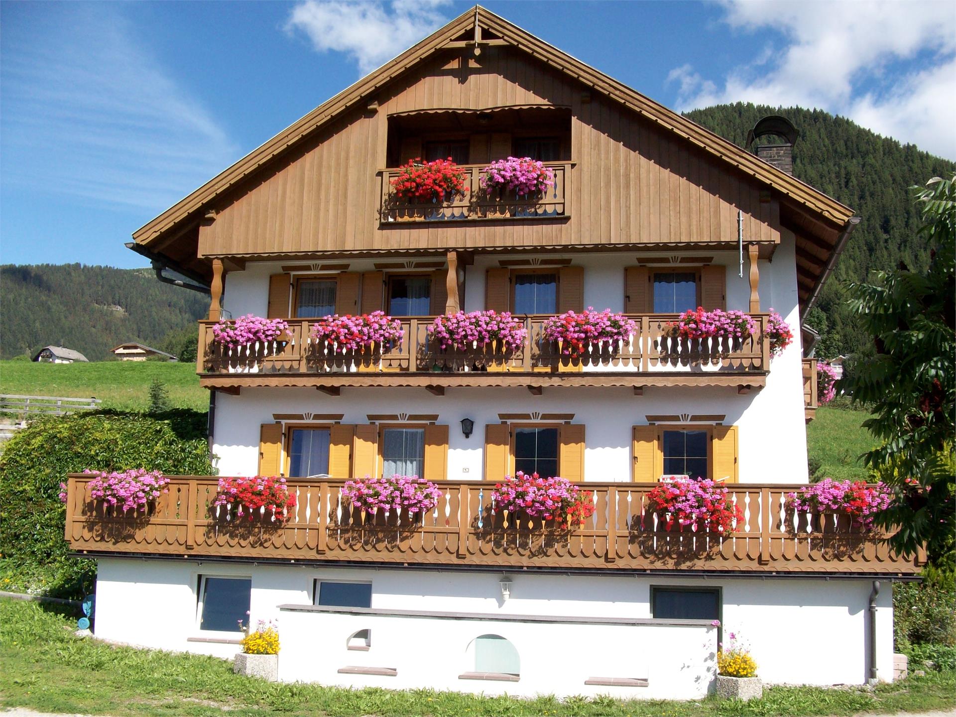 UaB Latschenhof Terenten 2 suedtirol.info