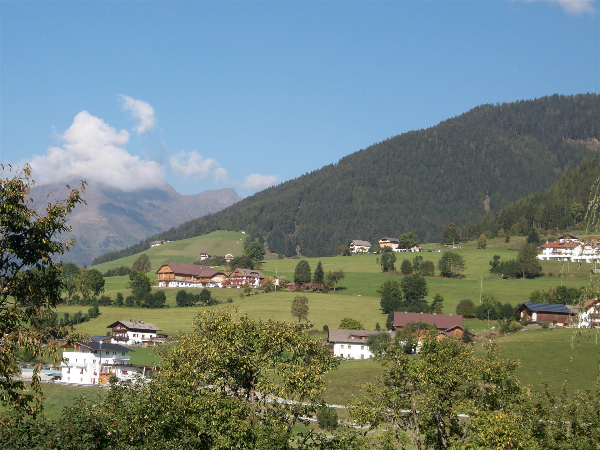 UaB Latschenhof Terenten 7 suedtirol.info
