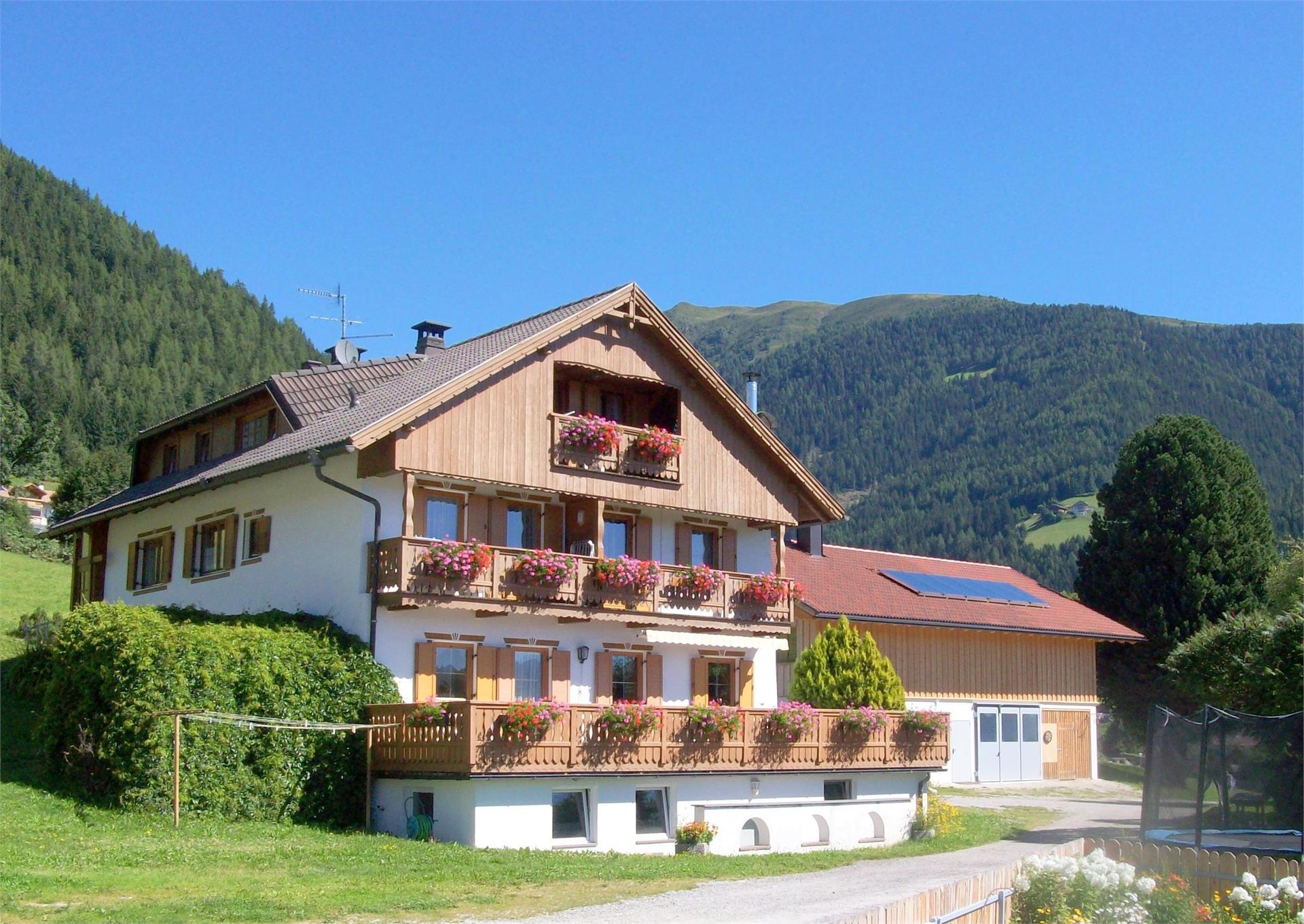 UaB Latschenhof Terenten 5 suedtirol.info