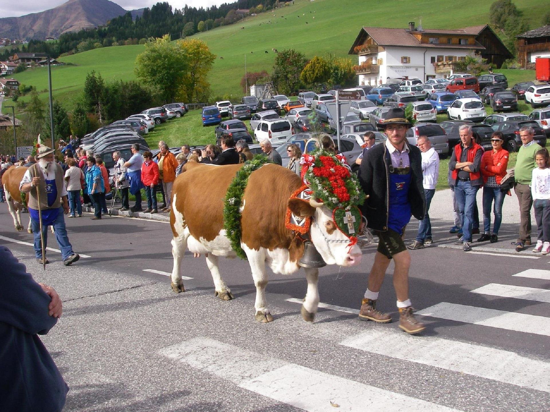 UaB Latschenhof Terenten 24 suedtirol.info