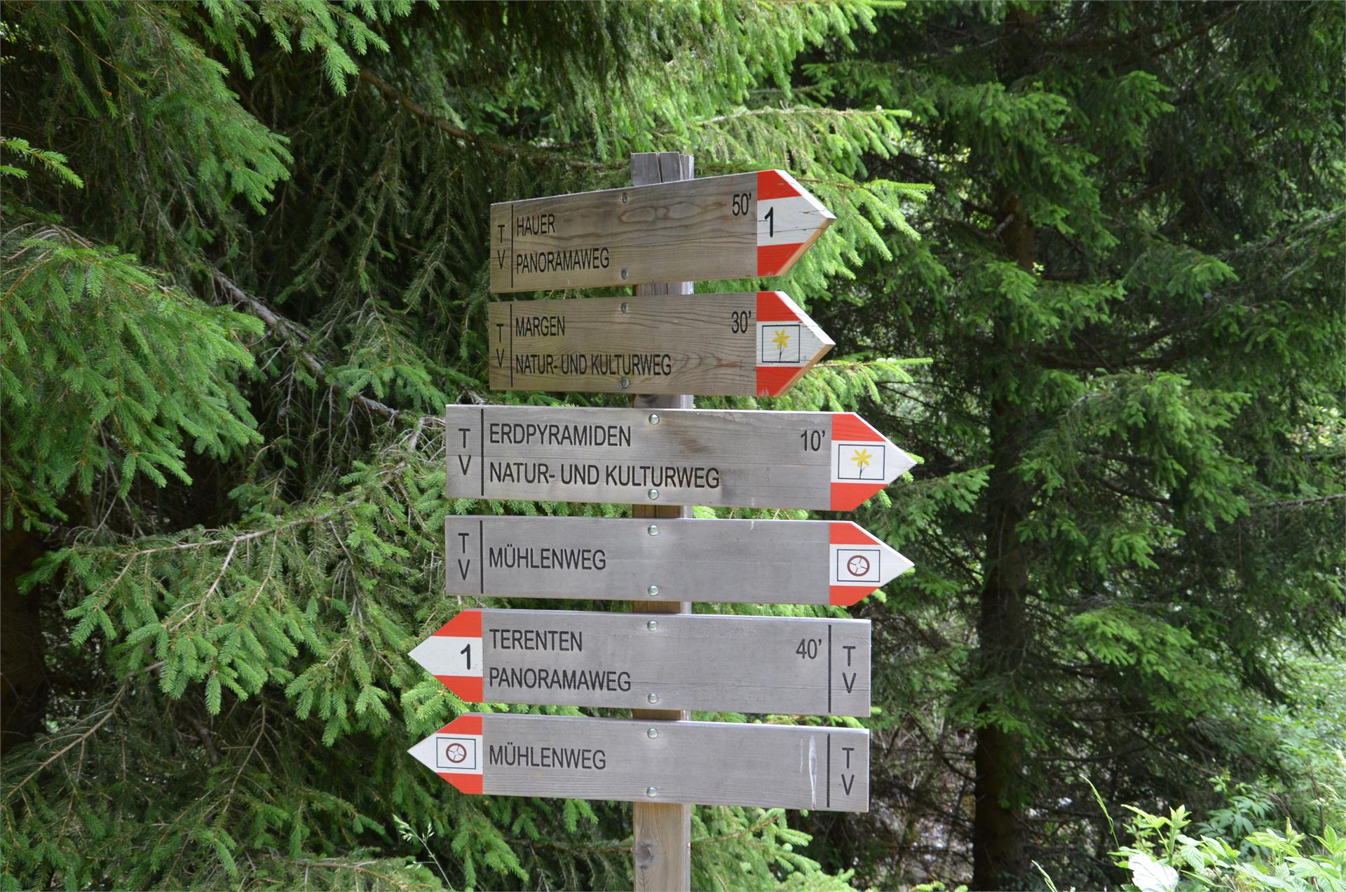 UaB Latschenhof Terenten 23 suedtirol.info
